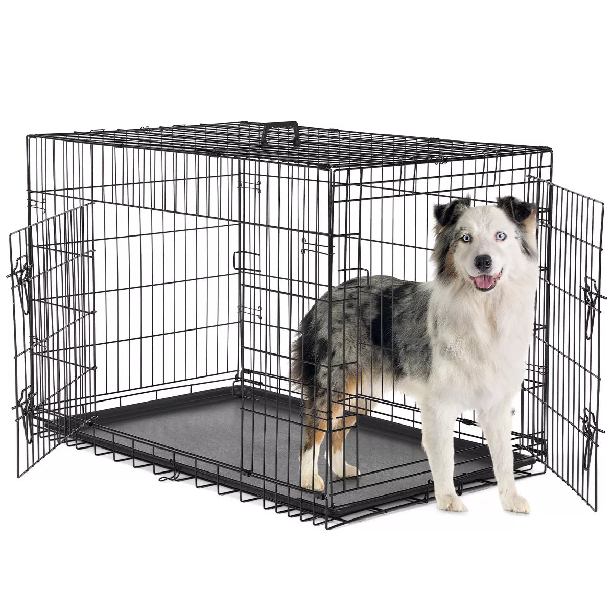 Musment Dog Crate with Double Doors - Enhanced Metal Foldable Pet Cage with Divider Panel & Removable Tray, Portable Extra Large Kennel for Black